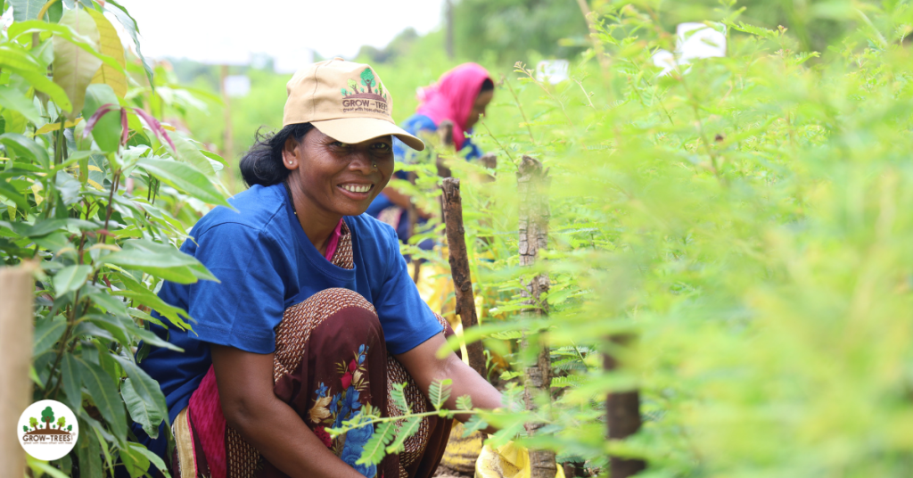 Workers at the planting site