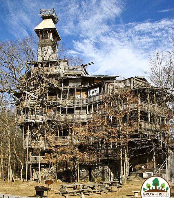 World's Tallest Treehouse